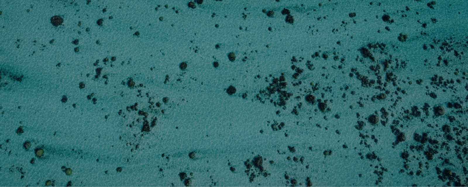 Tahiti Travel Guide: Flights, Currency & Tipping Tips